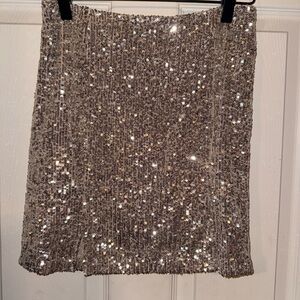 Love on a Hanger Glittering Silver Mini Skirt
